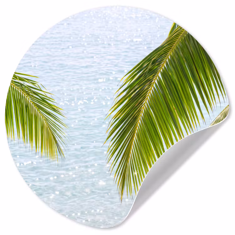 Boom - Bladeren - Water - Tropisch - Groen Wandcirkel behangsticker klein -3d