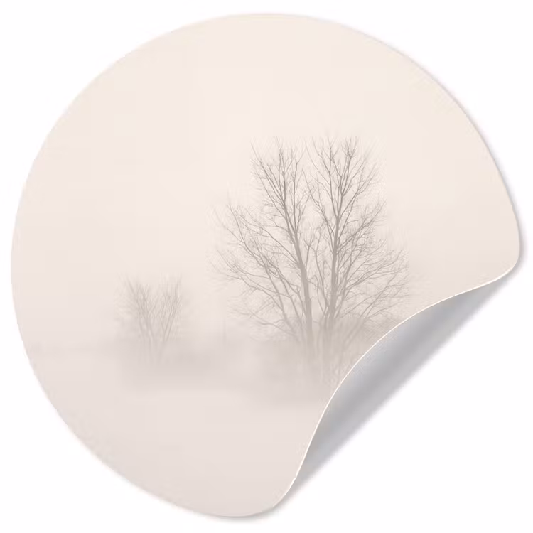 Boom - Mist - Sneeuw - Winter - Minimalistisch Wandcirkel behangsticker klein -3d