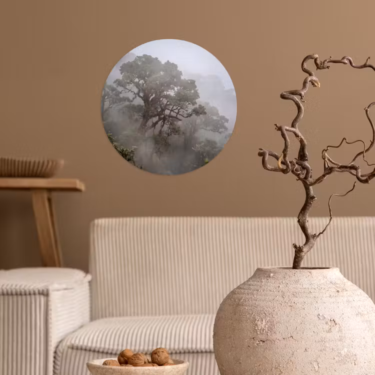 Boom - Mistig - Bos - Groen - Natuur Wandcirkel behangsticker klein -sfeer1