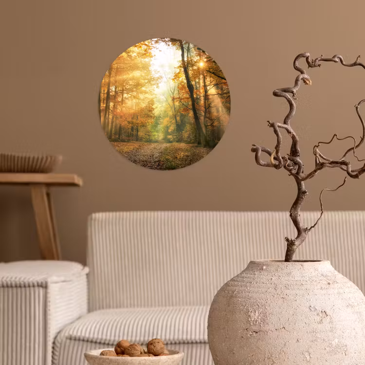 Bos - Herfst - Zon - Landschap - Natuur - Bomen - Bladeren Wandcirkel behangsticker klein -sfeer1
