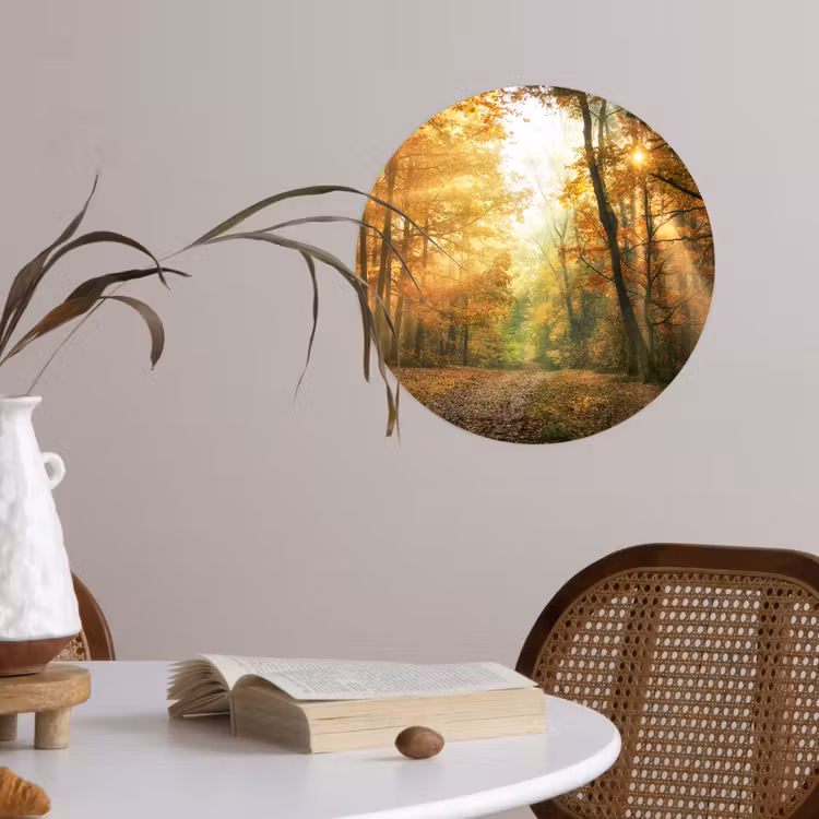 Bos - Herfst - Zon - Landschap - Natuur - Bomen - Bladeren Wandcirkel behangsticker klein -sfeer3