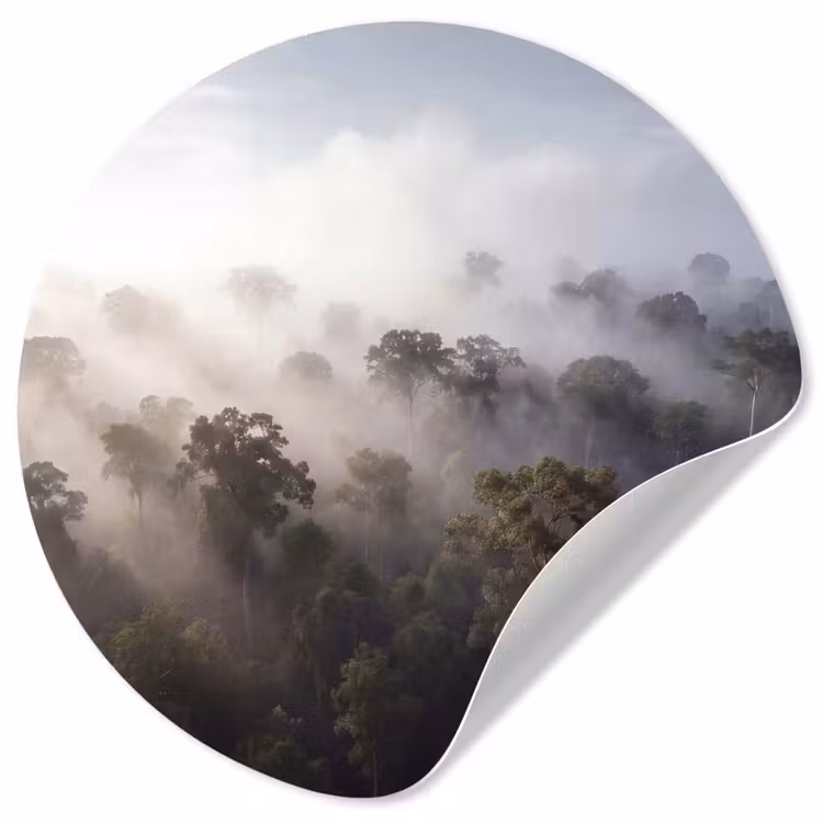Bos - Mist - Natuur - Groen Wandcirkel behangsticker klein -3d