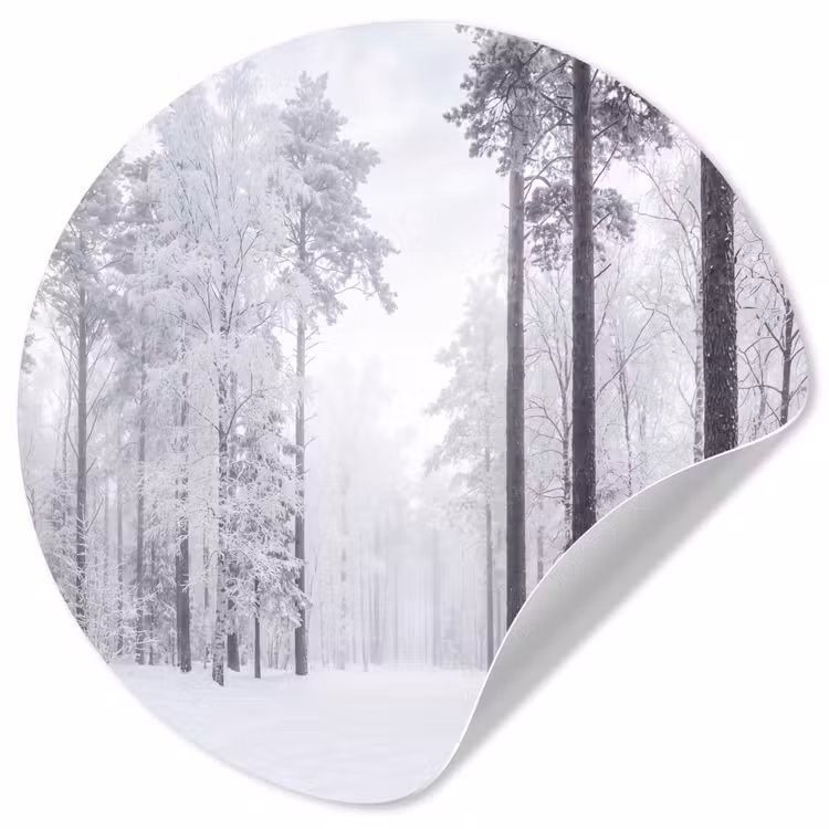 Bos - Sneeuw - Pad - Winter - Stilte Wandcirkel behangsticker klein -3d