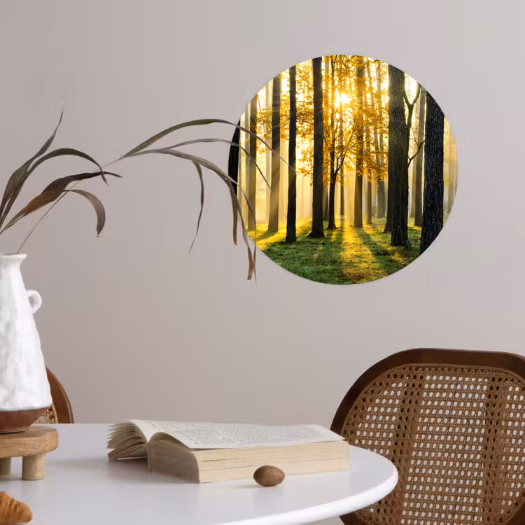 Bos - Zon - Bomen - Gras - Landschap - Natuur Wandcirkel behangsticker klein -sfeer3
