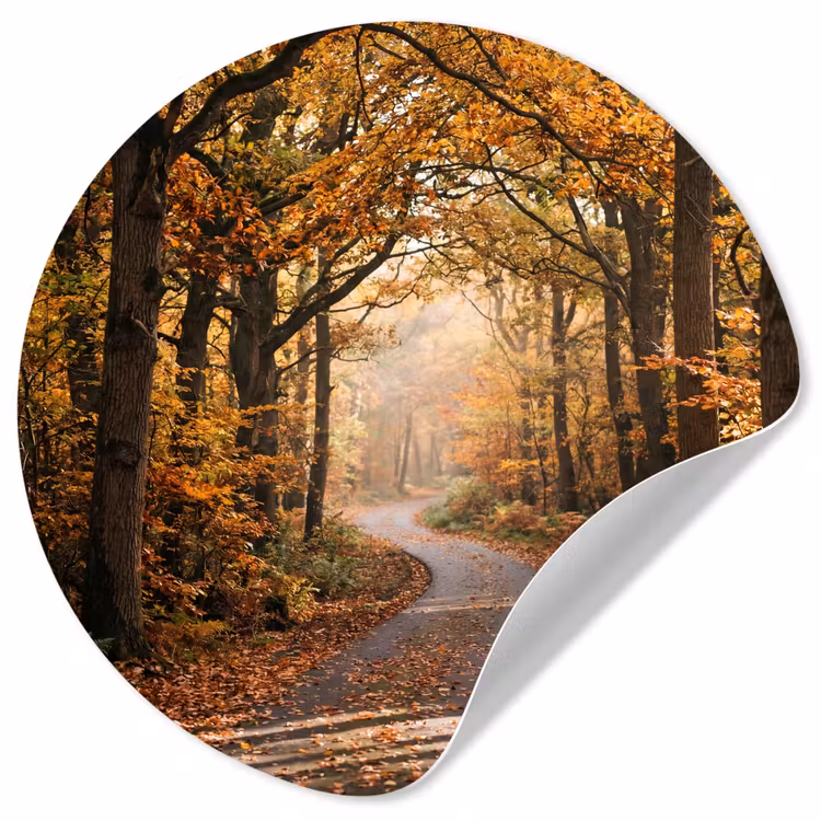 Bospad - Herfstbos - Bladeren - Oranje - Nostalgisch Wandcirkel behangsticker klein -3d