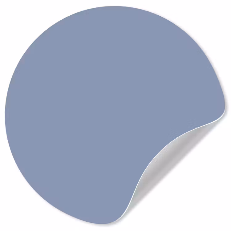 Canary - Champ - Blauw Wandcirkel behangsticker klein 186 -3d