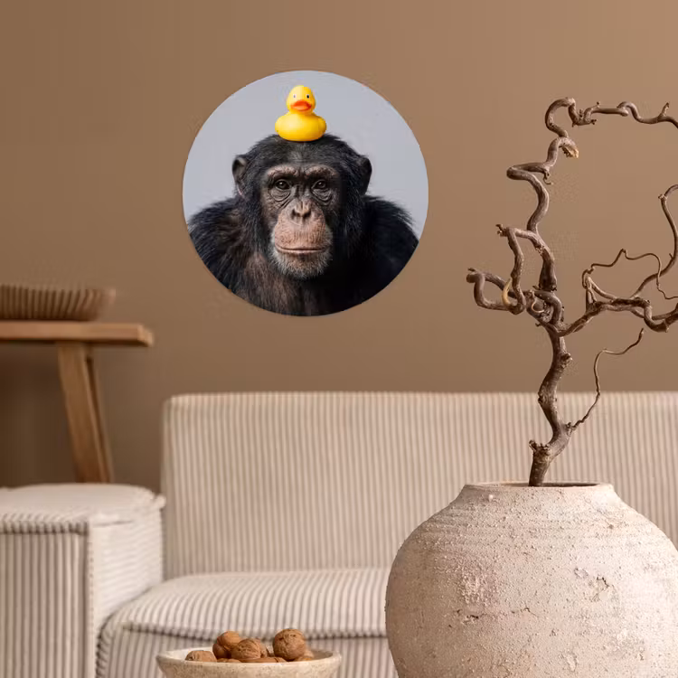 Chimpansee - Badeend - Grijs Wandcirkel behangsticker klein -sfeer1