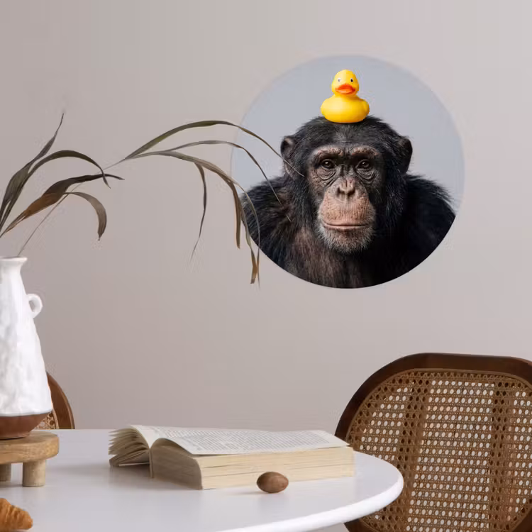 Chimpansee - Badeend - Grijs Wandcirkel behangsticker klein -sfeer3