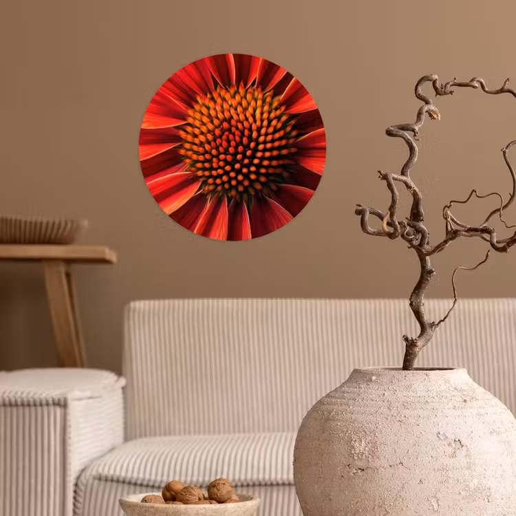 Close up - Bloem- Rood Wandcirkel behangsticker klein -sfeer1