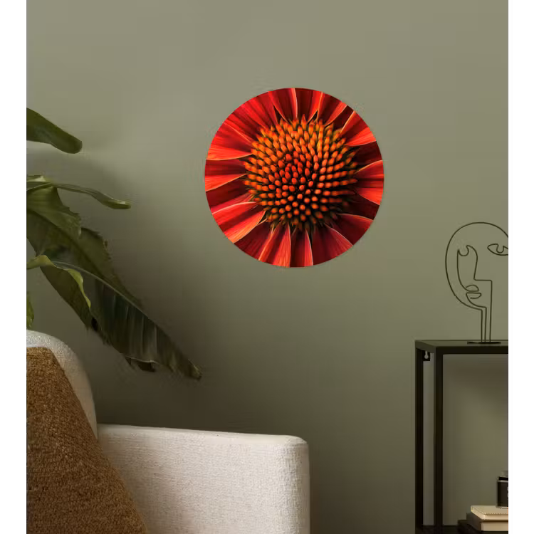 Close up - Bloem- Rood Wandcirkel behangsticker klein -sfeer2