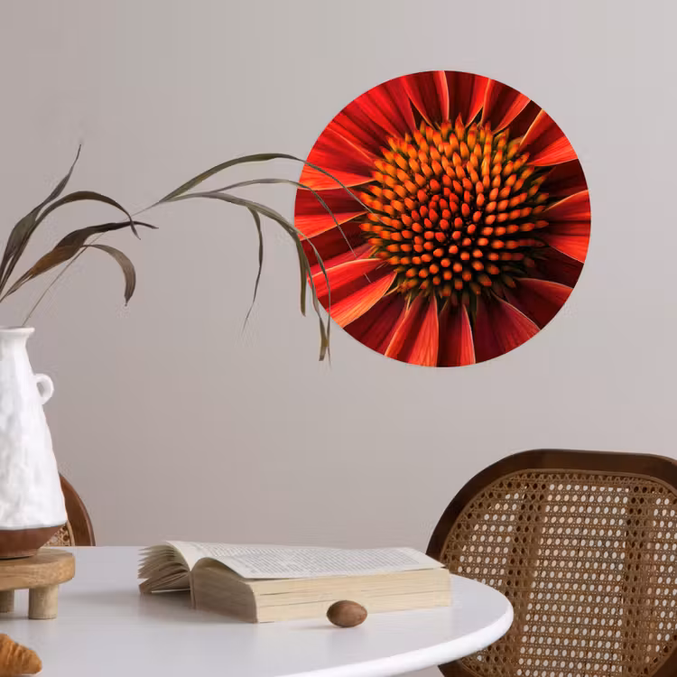 Close up - Bloem- Rood Wandcirkel behangsticker klein -sfeer3