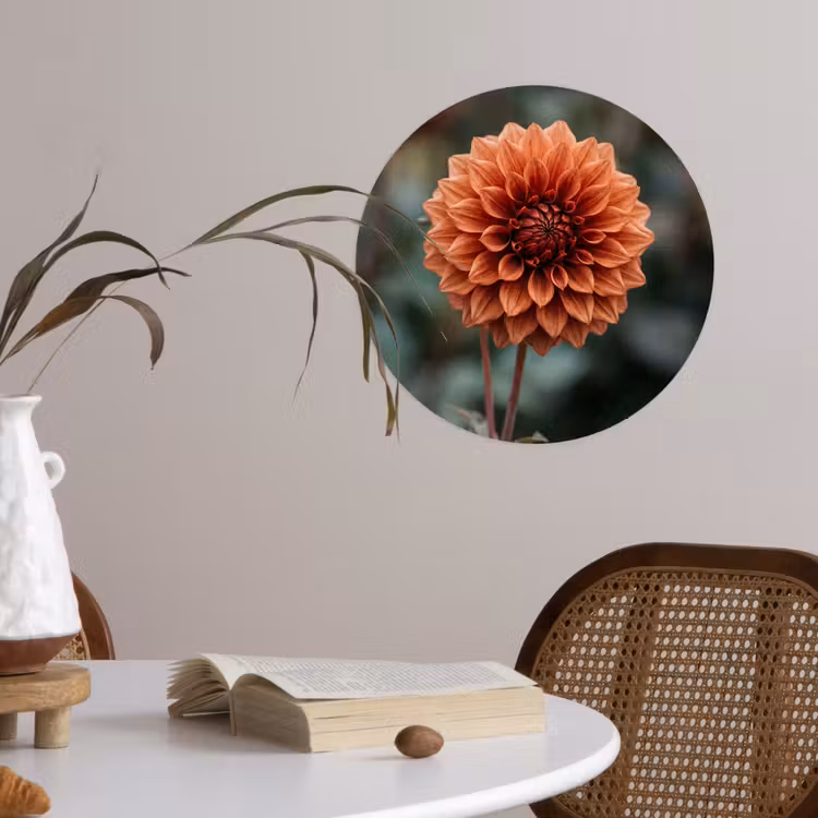 Dahlia - Bloem - Natuur - Sfeervol Wandcirkel behangsticker klein -sfeer3