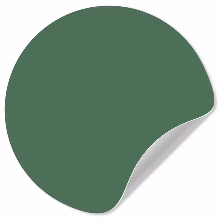 Deep - Sagewood - Groen Wandcirkel behangsticker klein 186 -3d