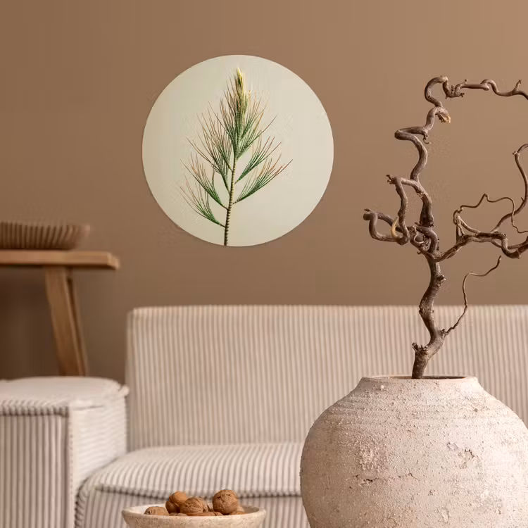 Dennentak - Naaldvormige bladeren - Lichtgroen Wandcirkel behangsticker klein -sfeer1