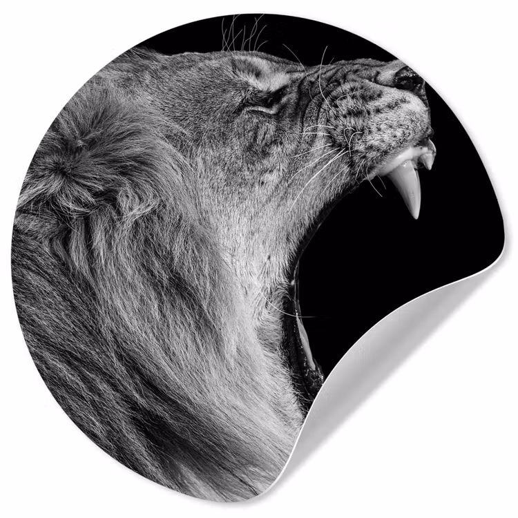 Dieren - Leeuw - Zwart - Wit - Portret Wandcirkel behangsticker klein -3d
