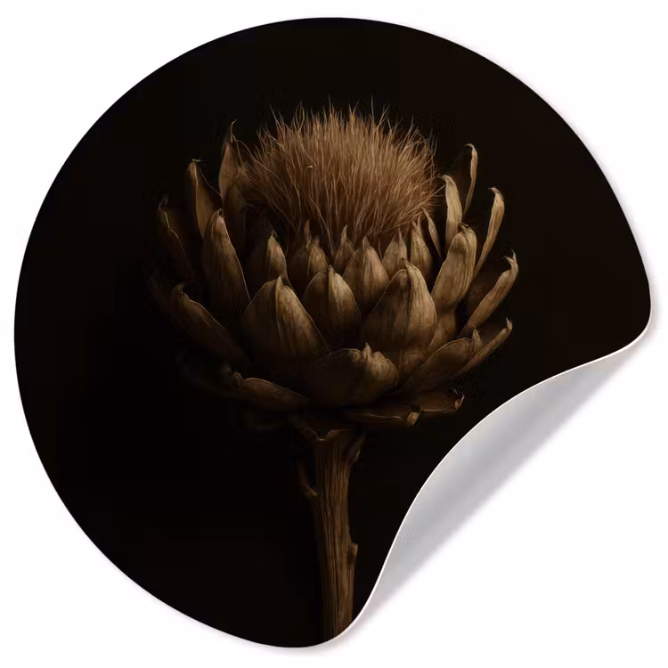 Donkerbruin - Bloem - Textuur - Artisjok Wandcirkel behangsticker klein -3d