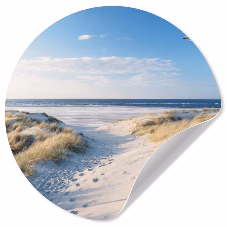 Duin - Meeuw - Strand - Zee - Zon Wandcirkel behangsticker klein -3d