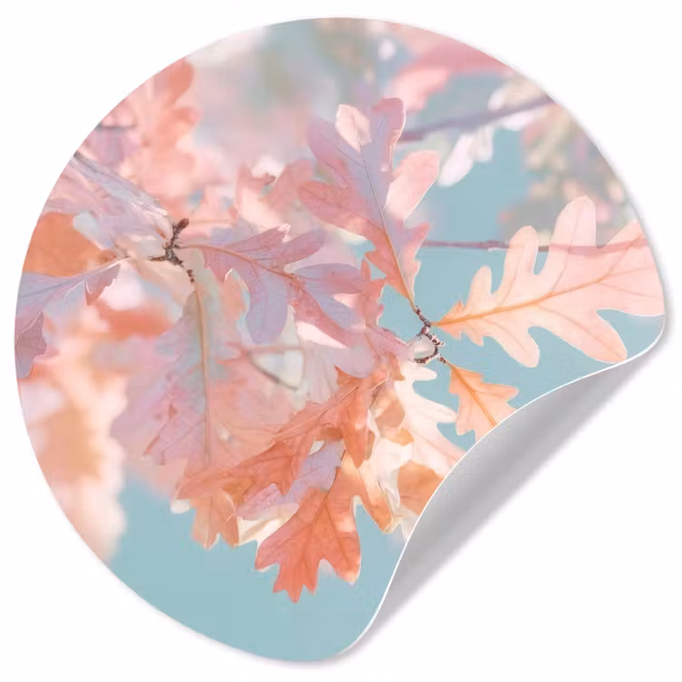 Eikenbladeren - Takken - Roze Wandcirkel behangsticker klein -3d