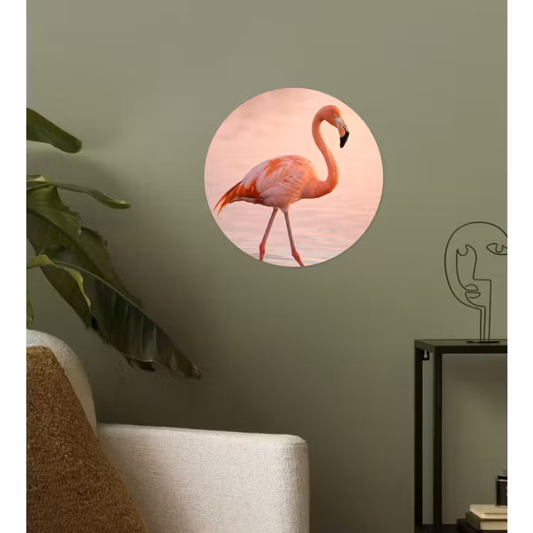 Flamingo - Water - Roze Wandcirkel behangsticker klein -sfeer2