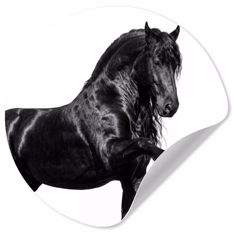 Fries - Hengst - Modern Wandcirkel behangsticker klein -3d