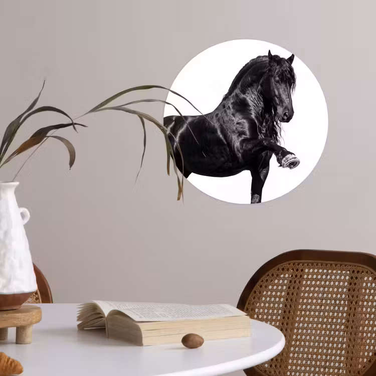 Fries - Hengst - Modern Wandcirkel behangsticker klein -sfeer3