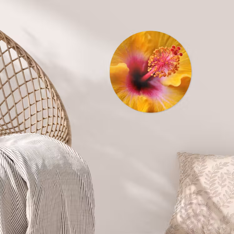 Geel - Hibiscus - Tropisch Wandcirkel behangsticker klein -sfeer4