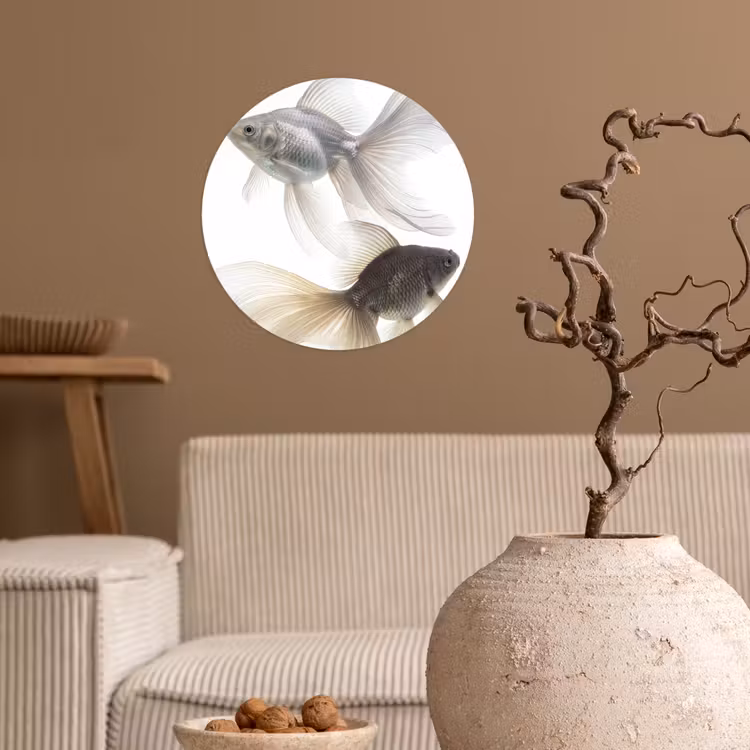 Goudvissen - Modern - Wit Wandcirkel behangsticker klein -sfeer1