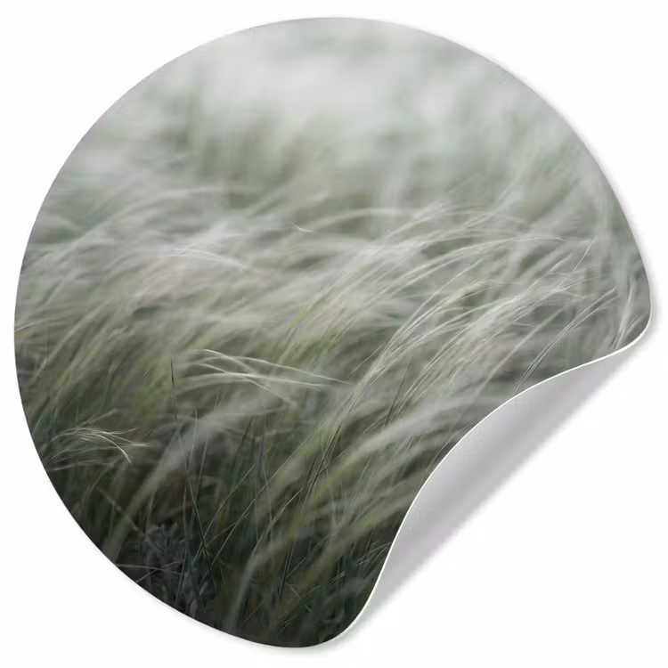 Gras - Wazig - Natuur - Groen - Zacht Wandcirkel behangsticker klein -3d