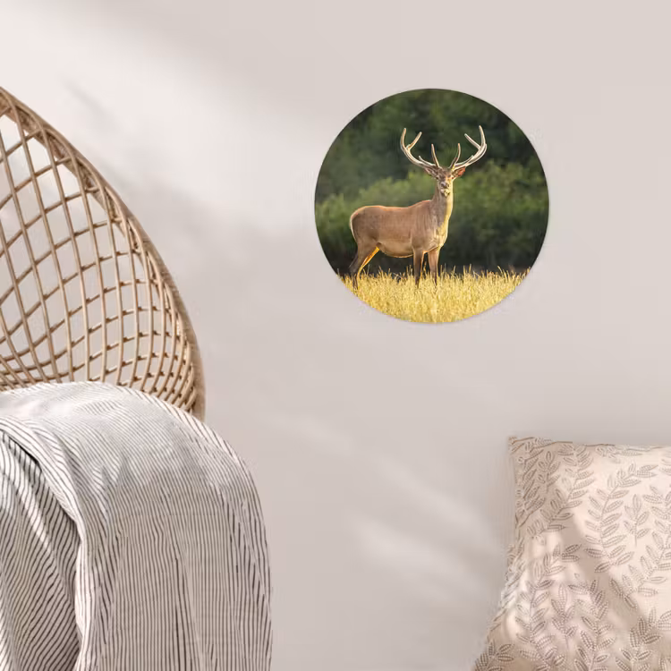 Hert - Gewei - Gras - Natuur - Dieren - Groen Wandcirkel behangsticker klein -sfeer4