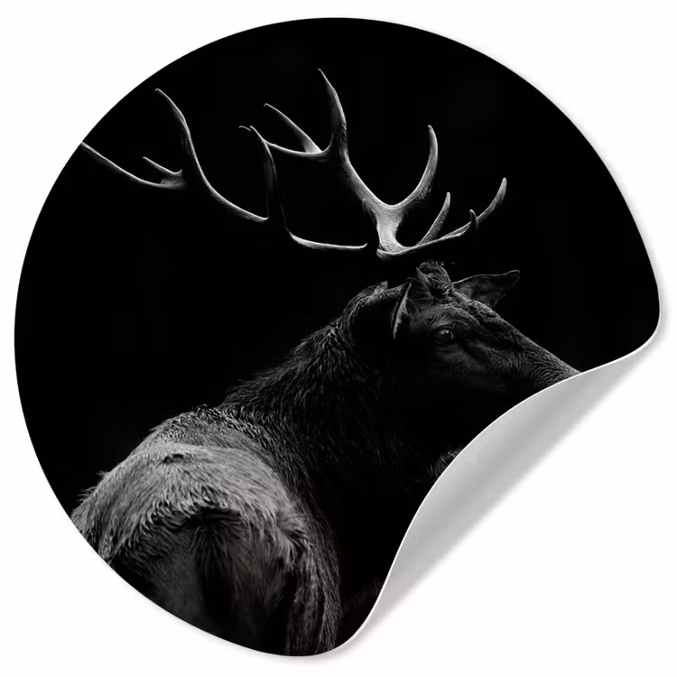 Hert - Zwart - Portret - Gewei - Dieren Wandcirkel behangsticker klein -3d