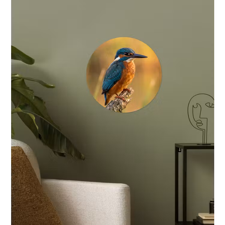IJsvogel - Tak - Water - Kleurrijk - Levendig Wandcirkel behangsticker klein -sfeer2
