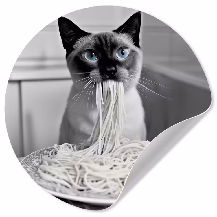 Kat - Siamees - Zwart Wit - Schattig - Dieren Wandcirkel behangsticker klein -3d
