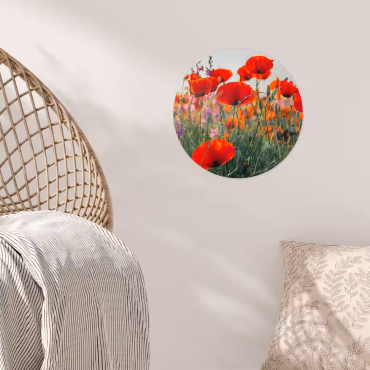 Klaproos - Bloemen - Rood - Paars - Weide Wandcirkel behangsticker klein -sfeer4