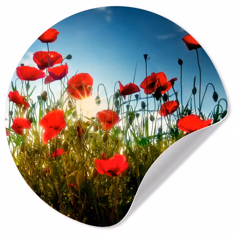 Klaprozen - Toscane - Zon - Rood - Blauw Wandcirkel behangsticker klein -3d