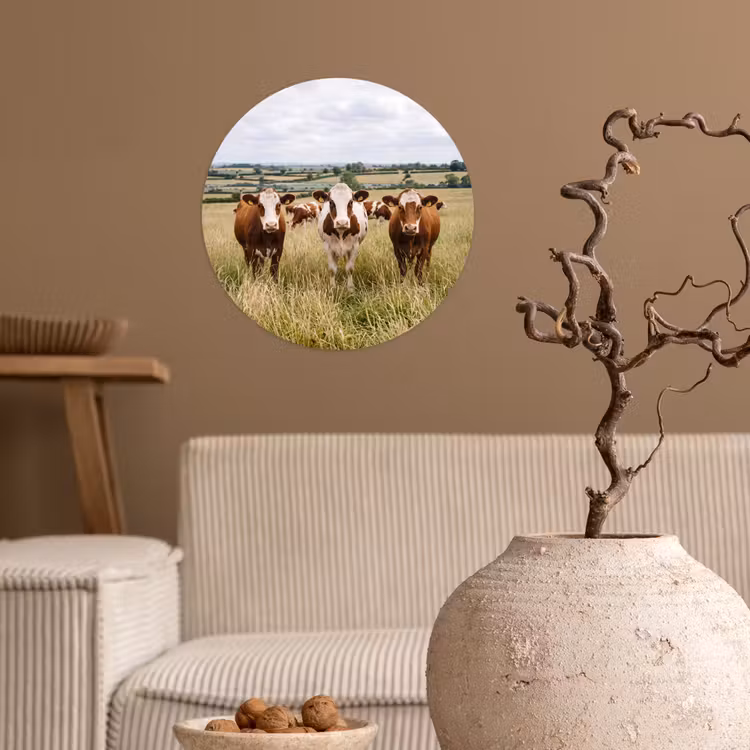 Koeien - Portret - Weide - Boerderij - Nieuwsgierig Wandcirkel behangsticker klein -sfeer1
