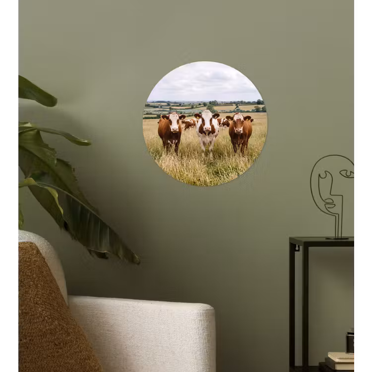 Koeien - Portret - Weide - Boerderij - Nieuwsgierig Wandcirkel behangsticker klein -sfeer2