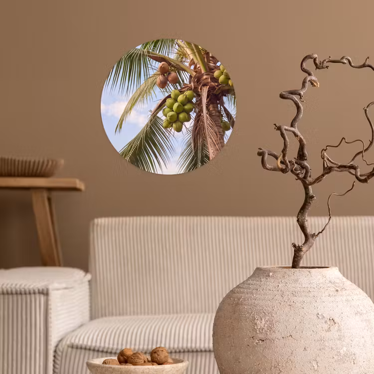 Kokosnoot - Boom - Tropisch - Natuur - Groen Wandcirkel behangsticker klein -sfeer1