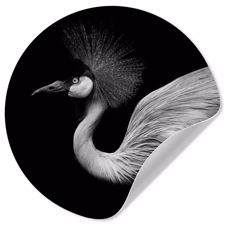 Kraanvogel - Zwart - Wit - Vogel - Dieren Wandcirkel behangsticker klein -3d