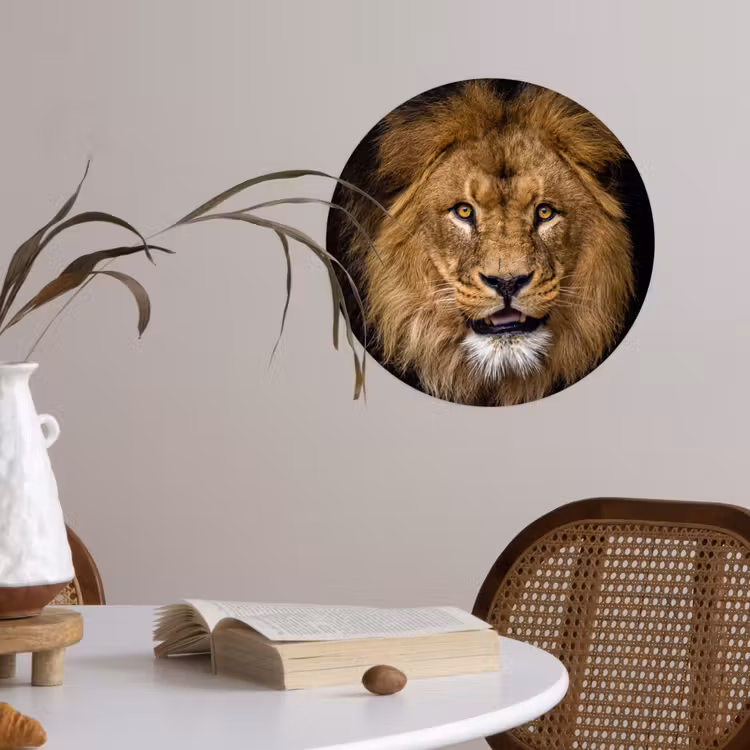 Leeuw - Portret - Zwart - Dieren Wandcirkel behangsticker klein -sfeer3
