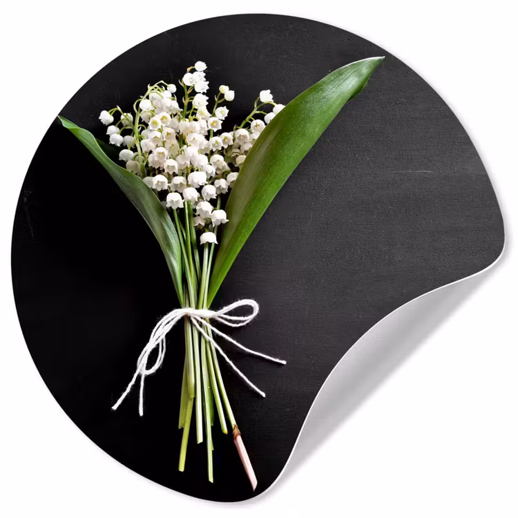 Lelietjes van dalen - Bloemen - Stilleven - Flora Wandcirkel behangsticker klein -3d