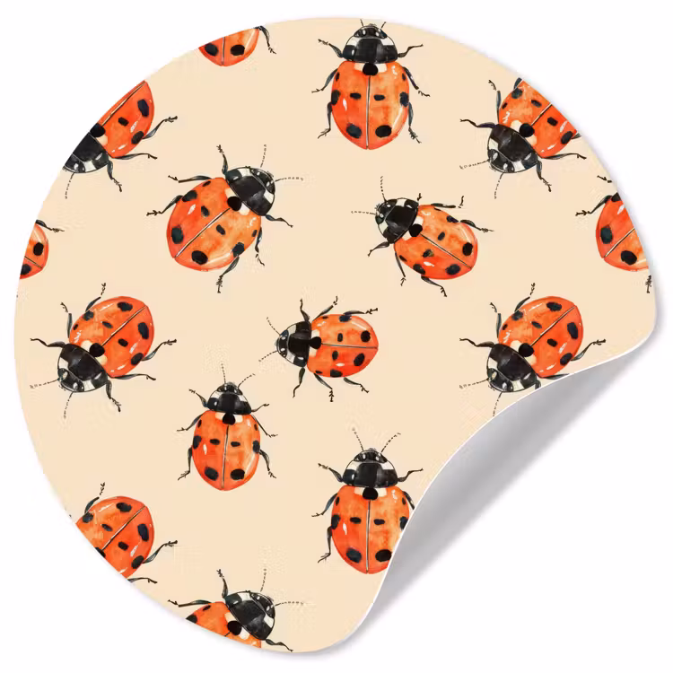 Lieveheersbeestjes - Patroon - Rood Wandcirkel behangsticker klein 186 -3d