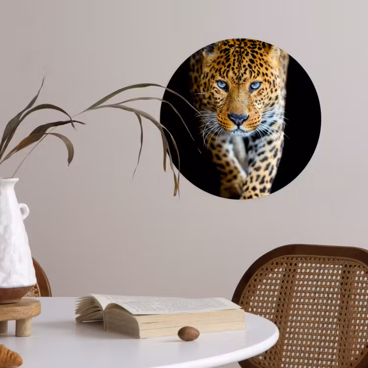 Luipaard - Dieren - Portret - Wilde dieren - Zwart Wandcirkel behangsticker klein -sfeer3