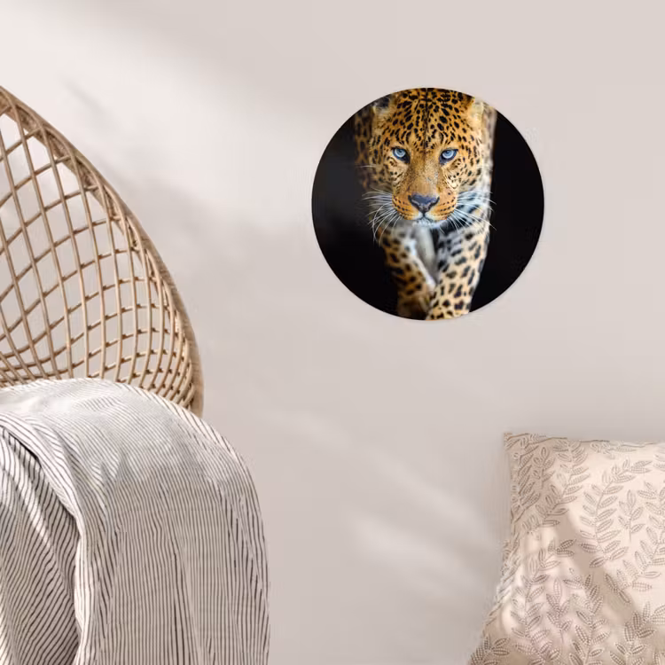 Luipaard - Dieren - Portret - Wilde dieren - Zwart Wandcirkel behangsticker klein -sfeer4