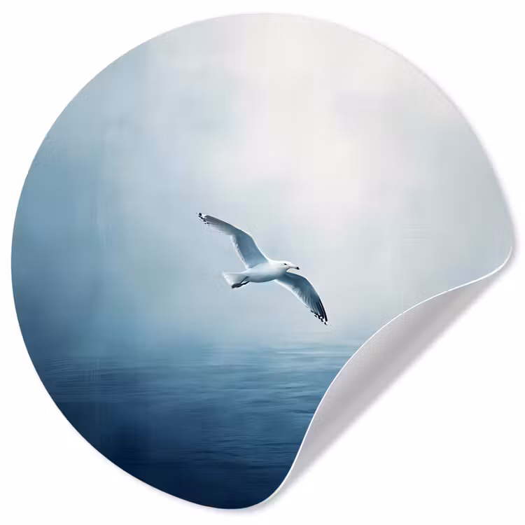 Meeuw - Wit - Zee - Mistig Wandcirkel behangsticker klein -3d