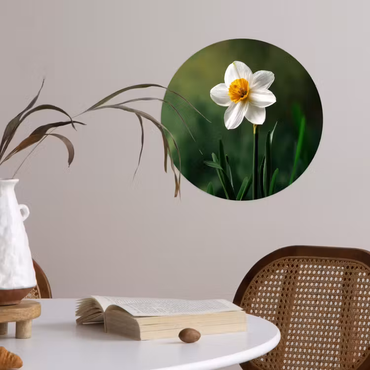Narcis - Bloem - Wit - Grassprieten Wandcirkel behangsticker klein -sfeer3