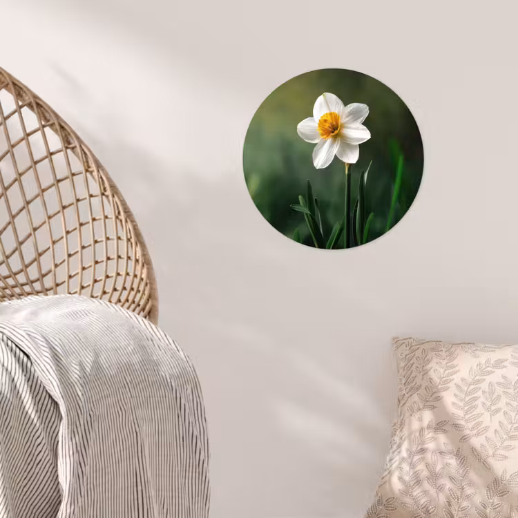 Narcis - Bloem - Wit - Grassprieten Wandcirkel behangsticker klein -sfeer4