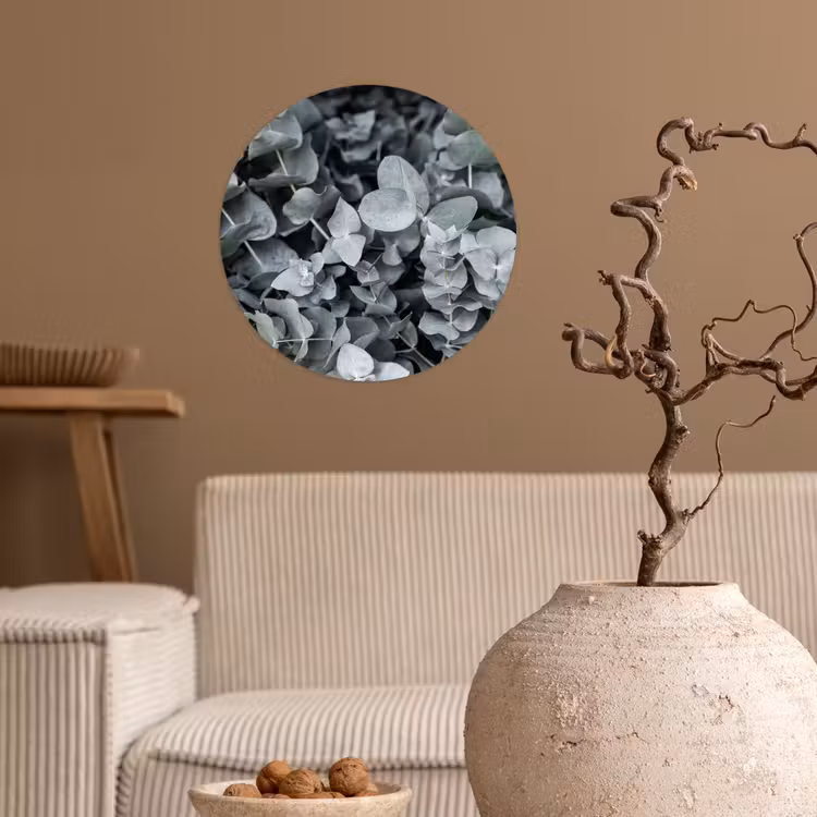 Natuur - Planten - Eucalyptus - Bladeren Wandcirkel behangsticker klein -sfeer1