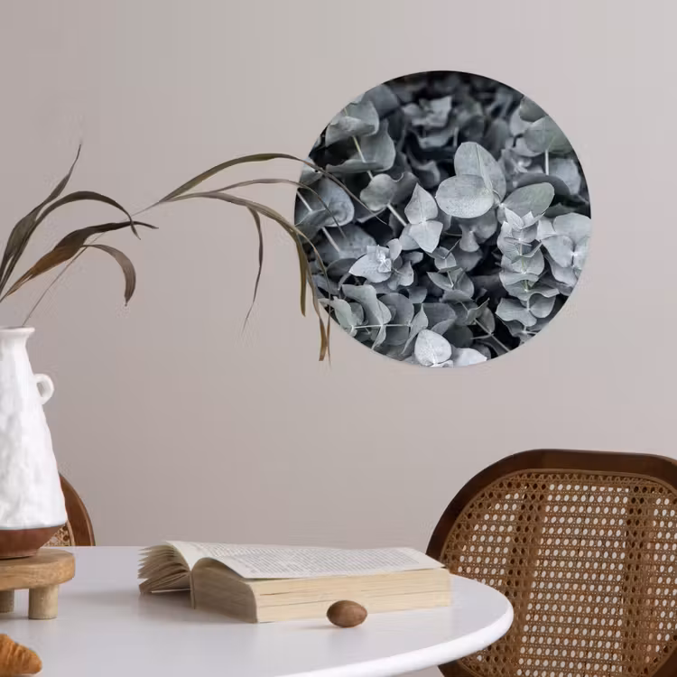 Natuur - Planten - Eucalyptus - Bladeren Wandcirkel behangsticker klein -sfeer3