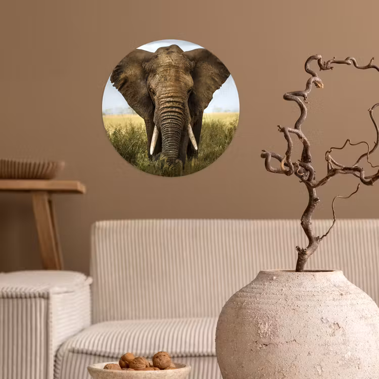 Olifant - Natuur - Gras - Dieren - Landschap Wandcirkel behangsticker klein -sfeer1