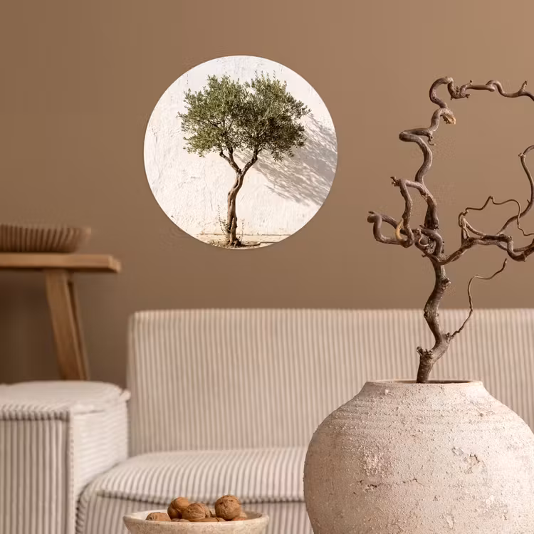 Behangcirkel - Olijfboom - muur - wit - Olijfboom - muur - wit Wandcirkel behangsticker klein